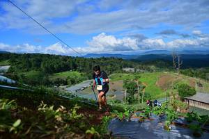 BIB: 
                            <button type="button" onclick="openModal(13382332)" class="btn btn-primary btn-sm float-right btn-popup" data-toggle="modal" data-target=".modal-high-quality">
                        <i class="fas fa-shopping-cart"></i> Add to Cart
                    </button>
                                            <button type="button" onclick="isThisMe(13382332, true)" class="btn btn-success btn-sm float-right btn-popup btn-isme hidden" data-toggle="tooltip" data-placement="bottom" title="นี่คือรูปของคุณใช่ไหม คลิกที่นี่เพื่อเอาเข้าอัลบั้ม">
                        <i class="fas fa-plus"></i> Add to album
                    </button>
                    <button type="button" onclick="isThisMe(13382332, false)" class="btn btn-warning btn-sm float-right btn-popup btn-isnotme hidden">
                        <i class="fas fa-ban"></i> Remove from album
                    </button>